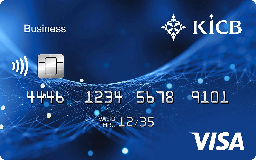 VISA Business