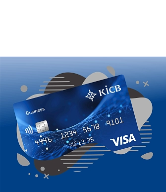 Visa Business